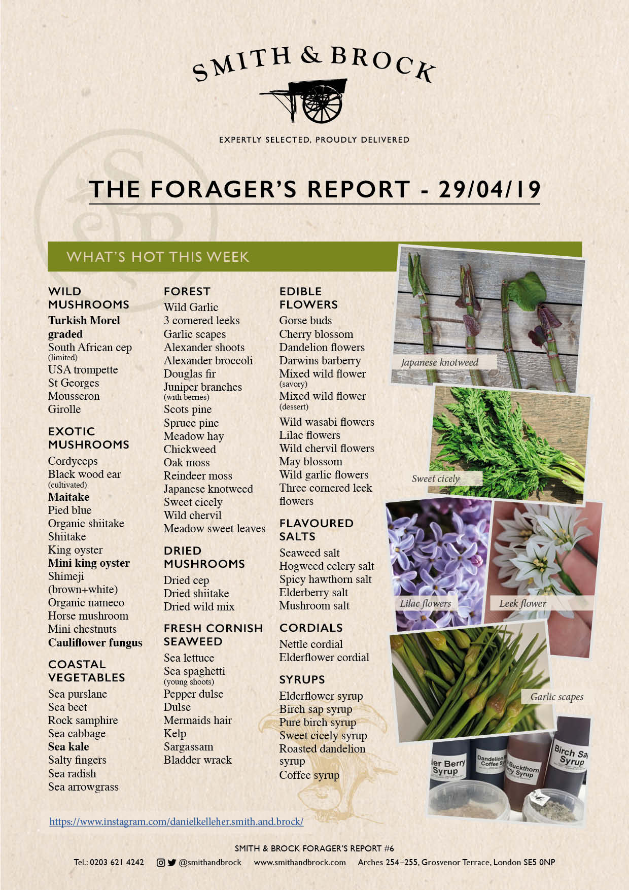 Smith&Brock Foraged Products Report 29 Apr 2019 #6