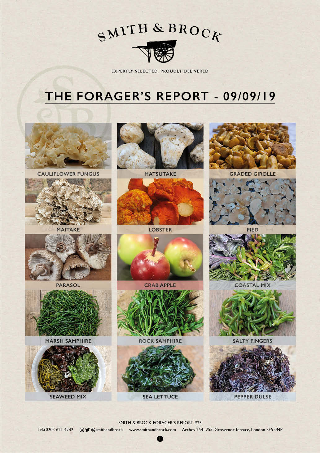 Smith&Brock Foraged Products Report 09 Sep 2019 23