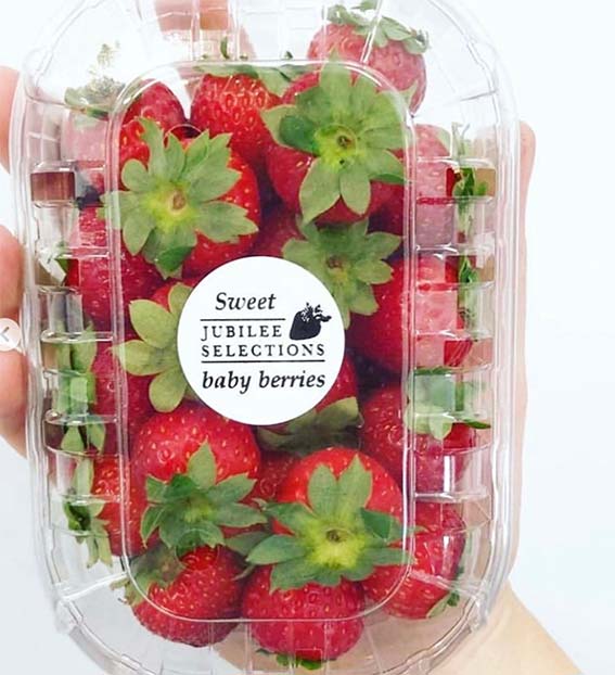 baby-jubilee-strawberries-smith-and-brock