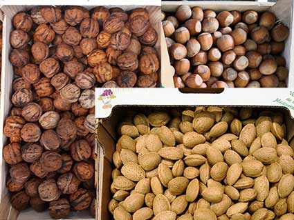 almond-walnut-hazelnuts-smith-and-brock