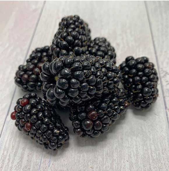blackberries-smith-and-brock